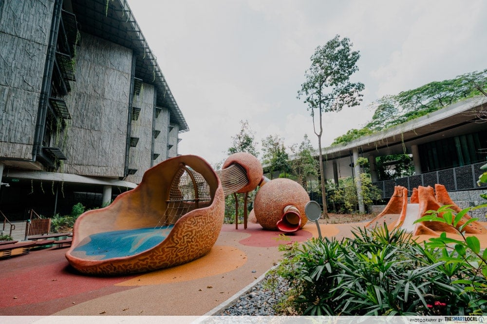 Mandai Rainforest Resort - playground