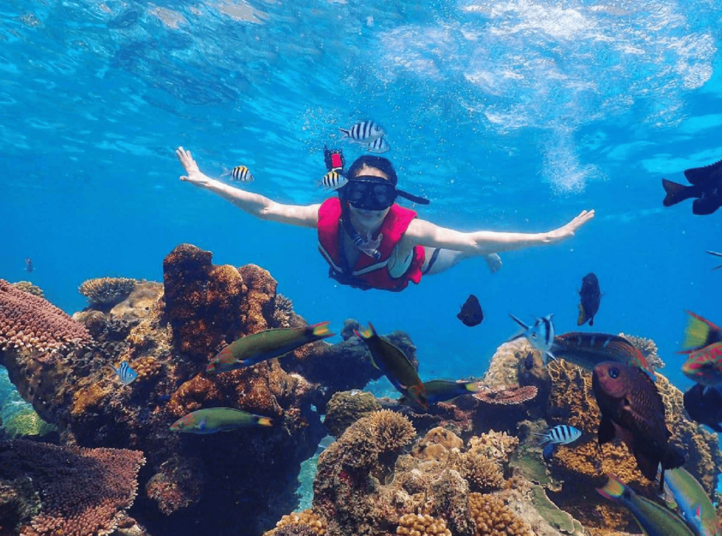Pulau Babi Besar - An Island Escape 30 Minutes From Johor