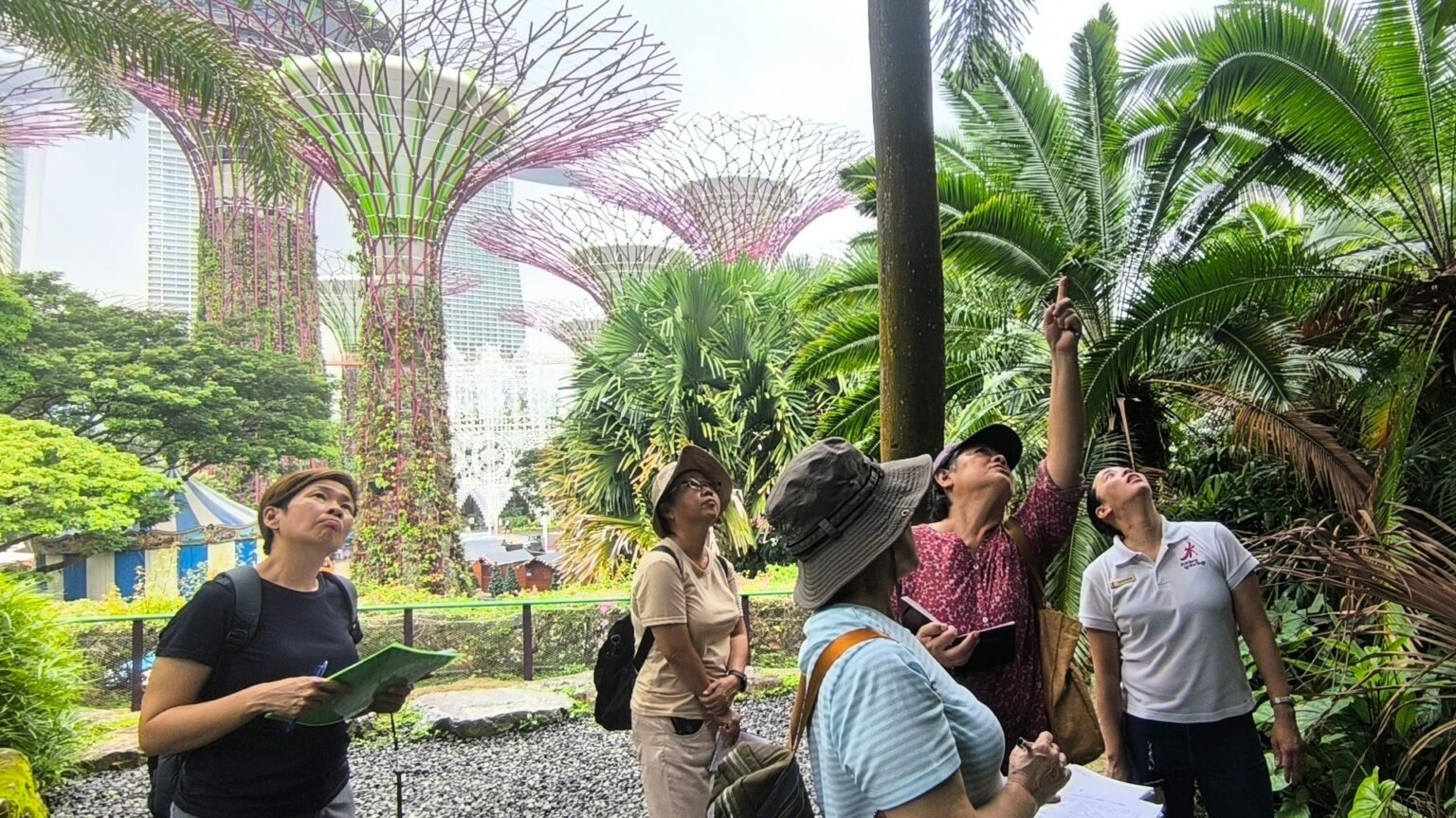 Guided Walk 12 Best Guided Nature Walks & Tours In Singapore (2025)