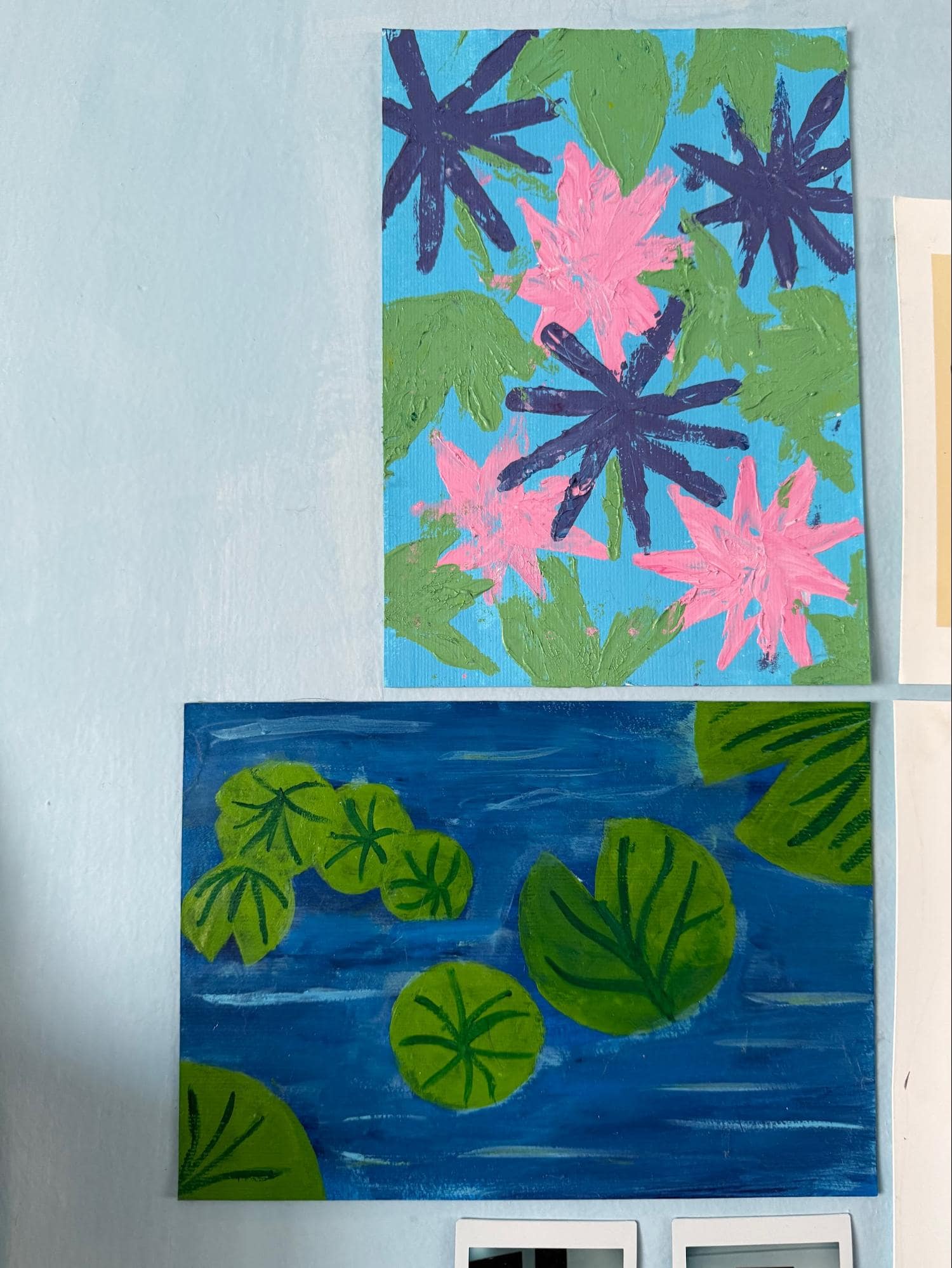 body dysmorphia disorder