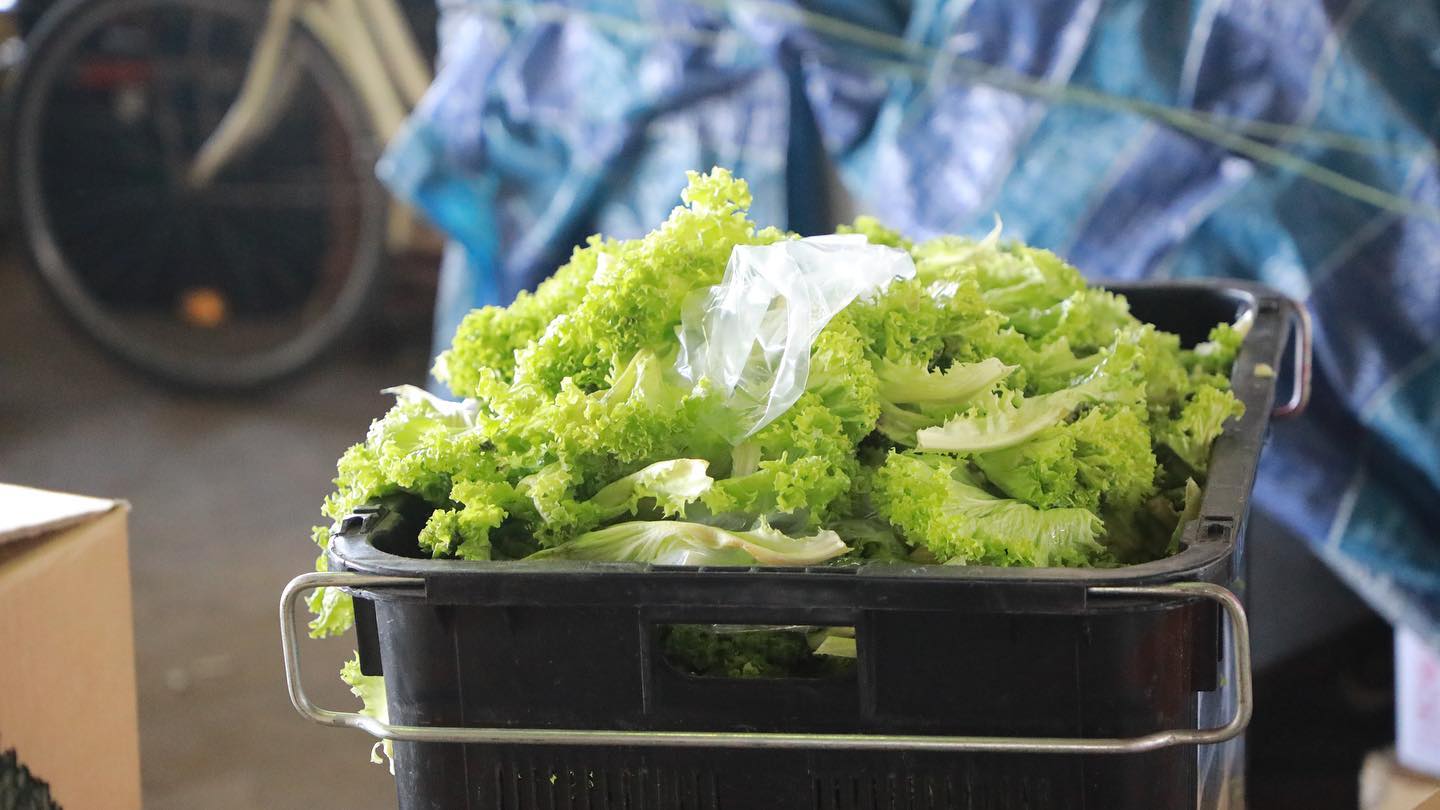 pasir panjang wholesale centre - veg