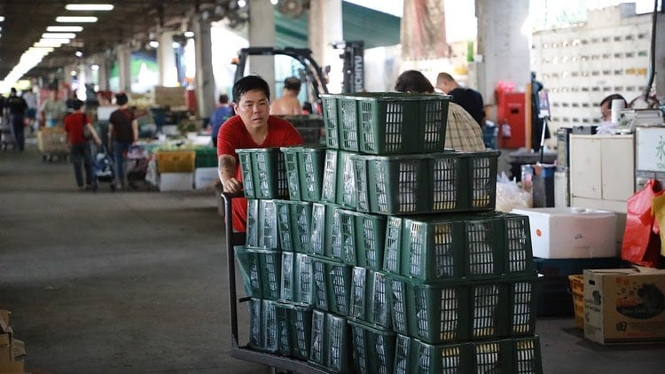 pasir panjang wholesale centre - workers