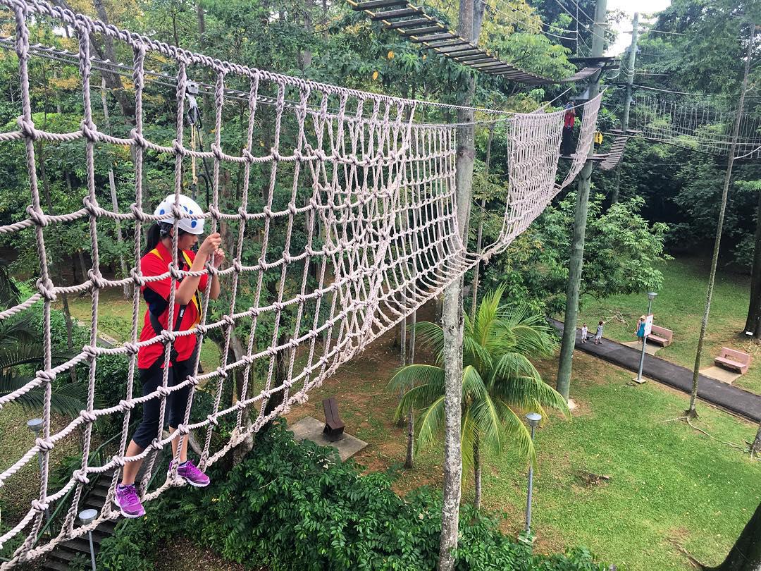 Canopy Walk