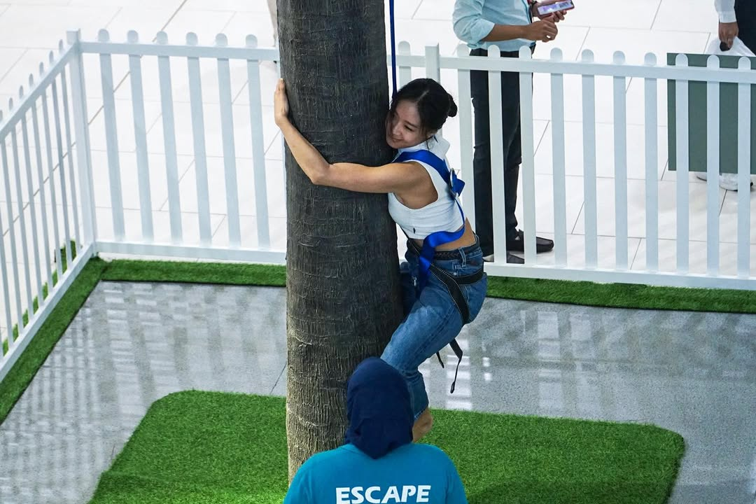 ESCAPE JB - Tree climbs