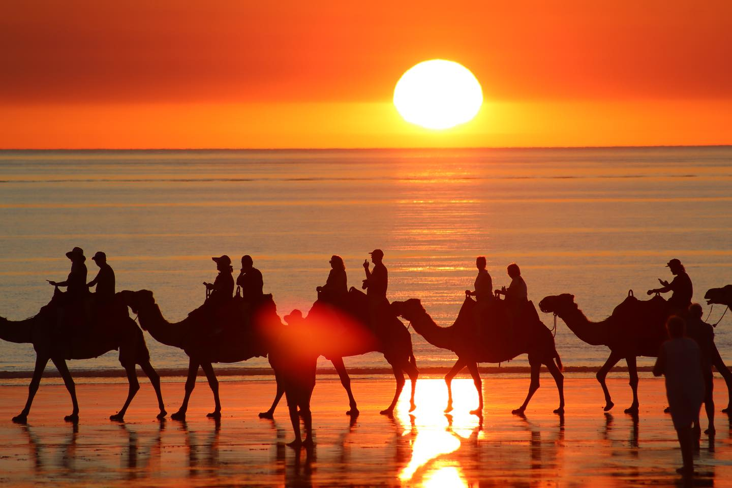 sunset camel ride