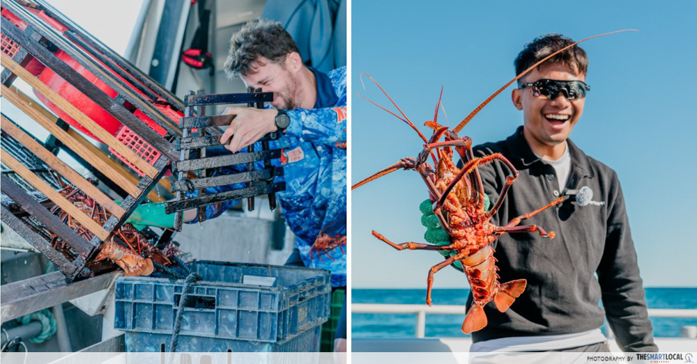 Things to do in Western Australia - lobsters
