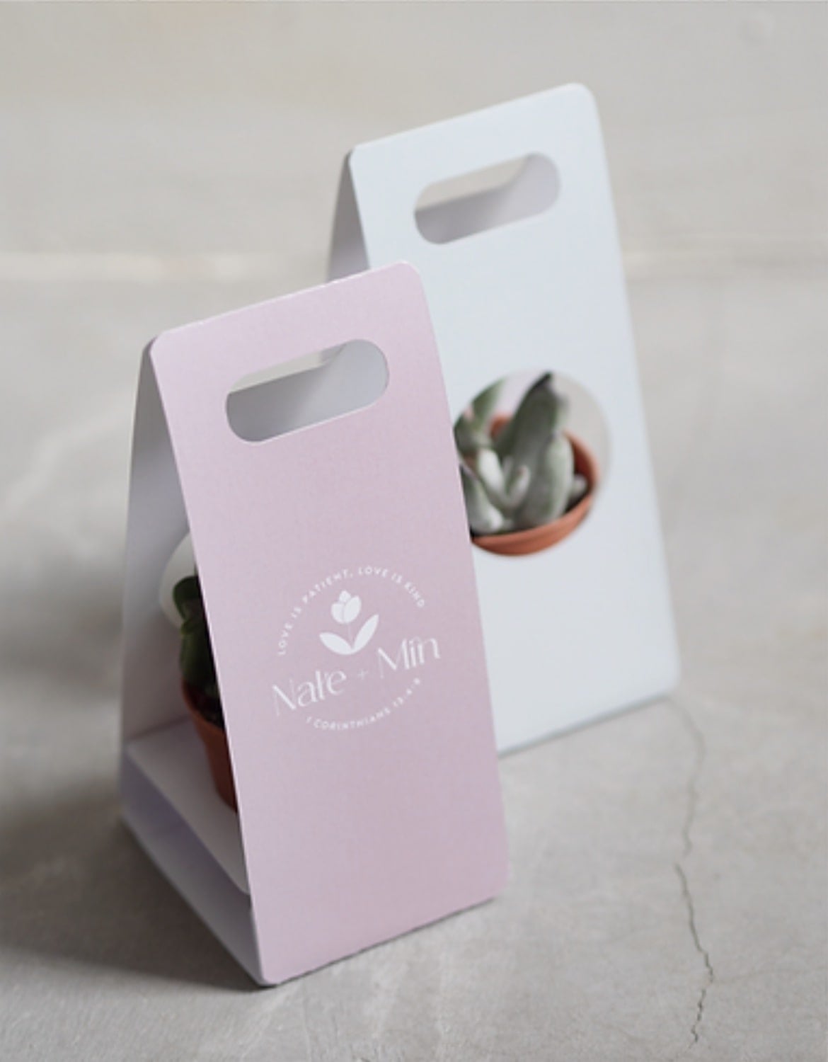 Wedding Favours - Succulent