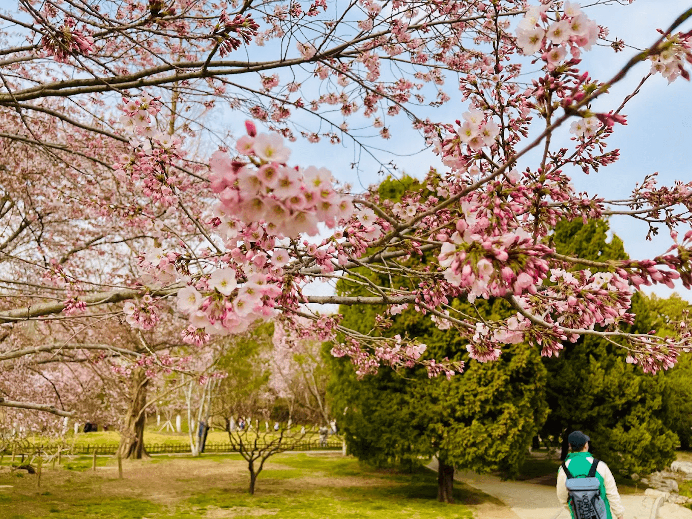 china - yuyuantan park