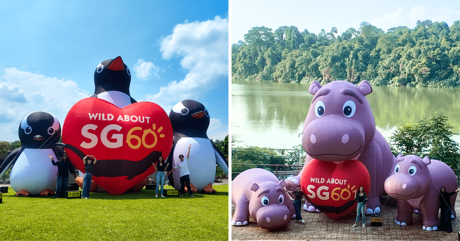 Gentoo penguin and pygmy hippo inflatables