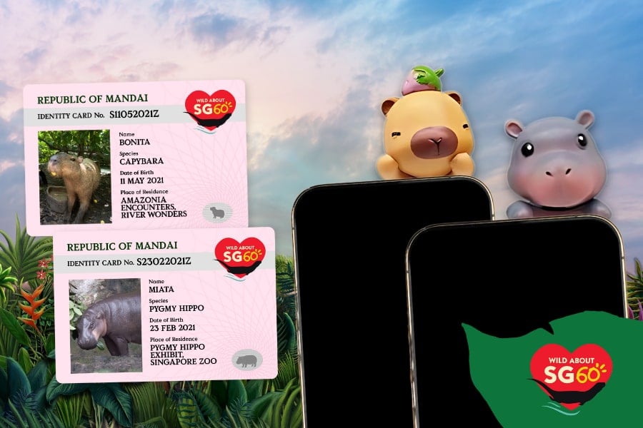 Mandai Wildlife Reserve phone hipper