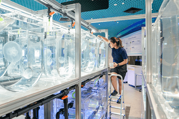 singapore oceanarium - animal spotlight (1)