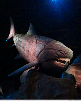 singapore oceanarium - animatoric