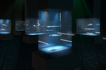 singapore oceanarium - into the abyss