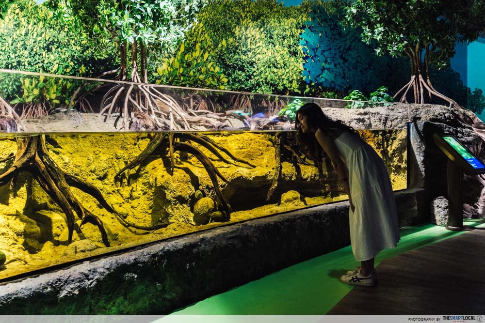 singapore oceanarium - singpaore coast