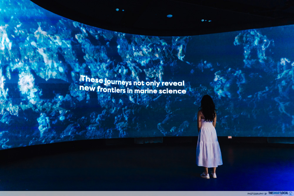 singapore oceanarium - trenches