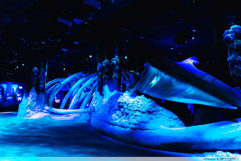 singapore oceanarium - whalefall