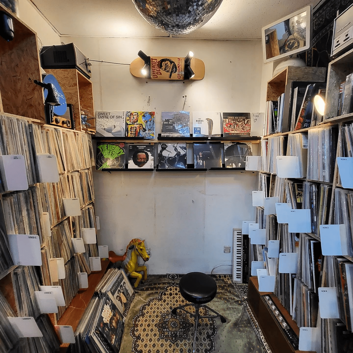 The Panic Room Vinyl section 