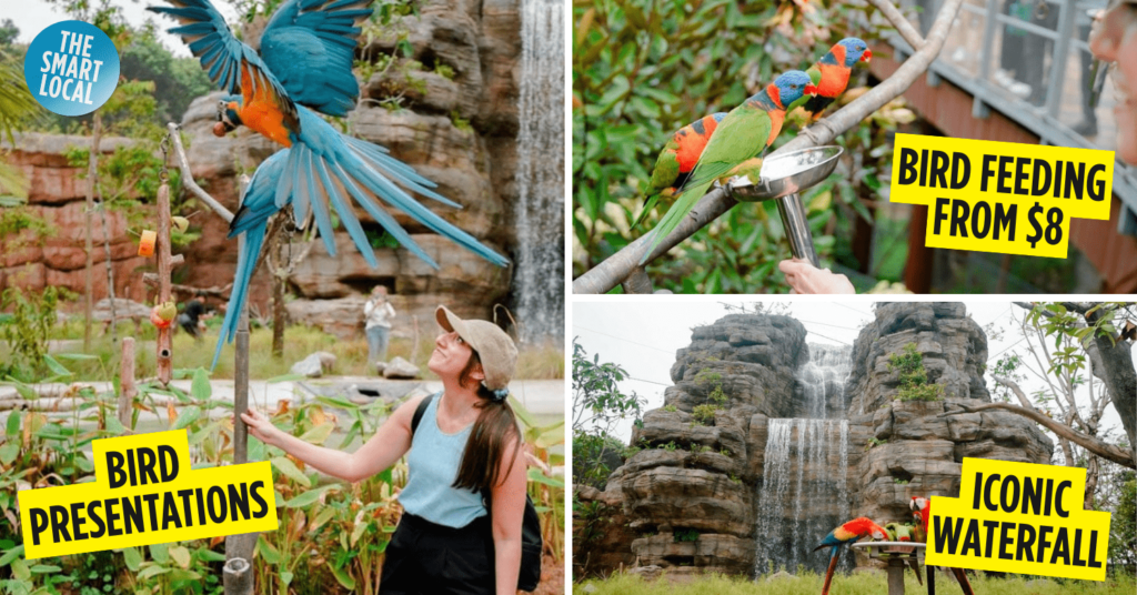 Bird Paradise Mandai Singapore