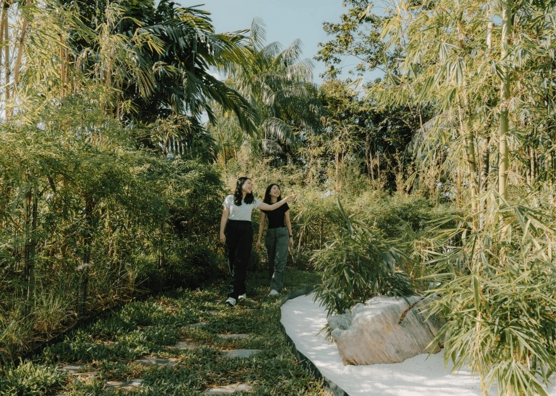 Changi Airport Bamboo Grove