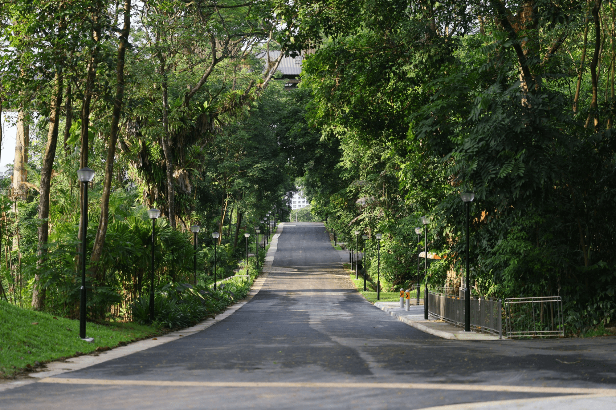 Punggol Heritage Trail road