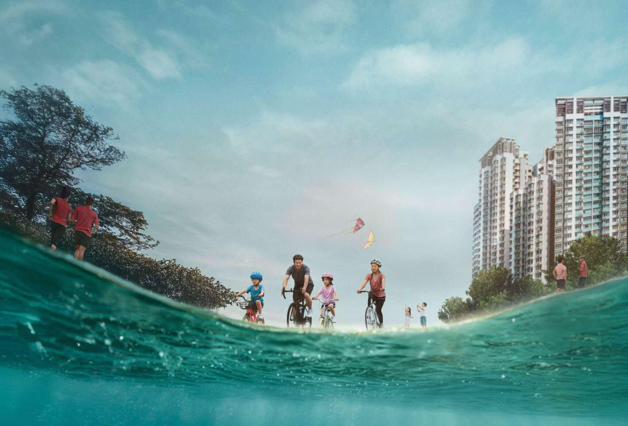 AR Coastal projections