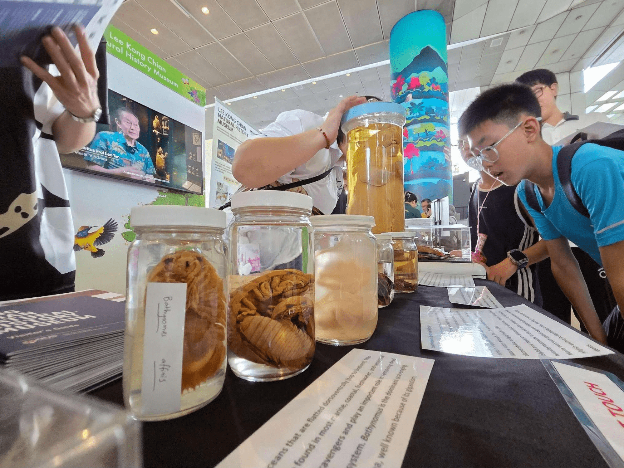 Interactive booth about marine biology