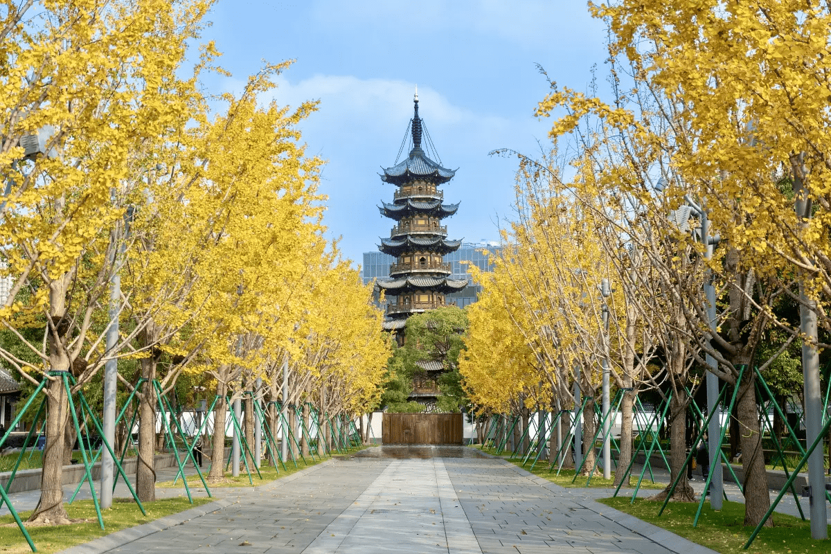 Shanghai Itinerary - view of pagoda from street level at Longhua Temple