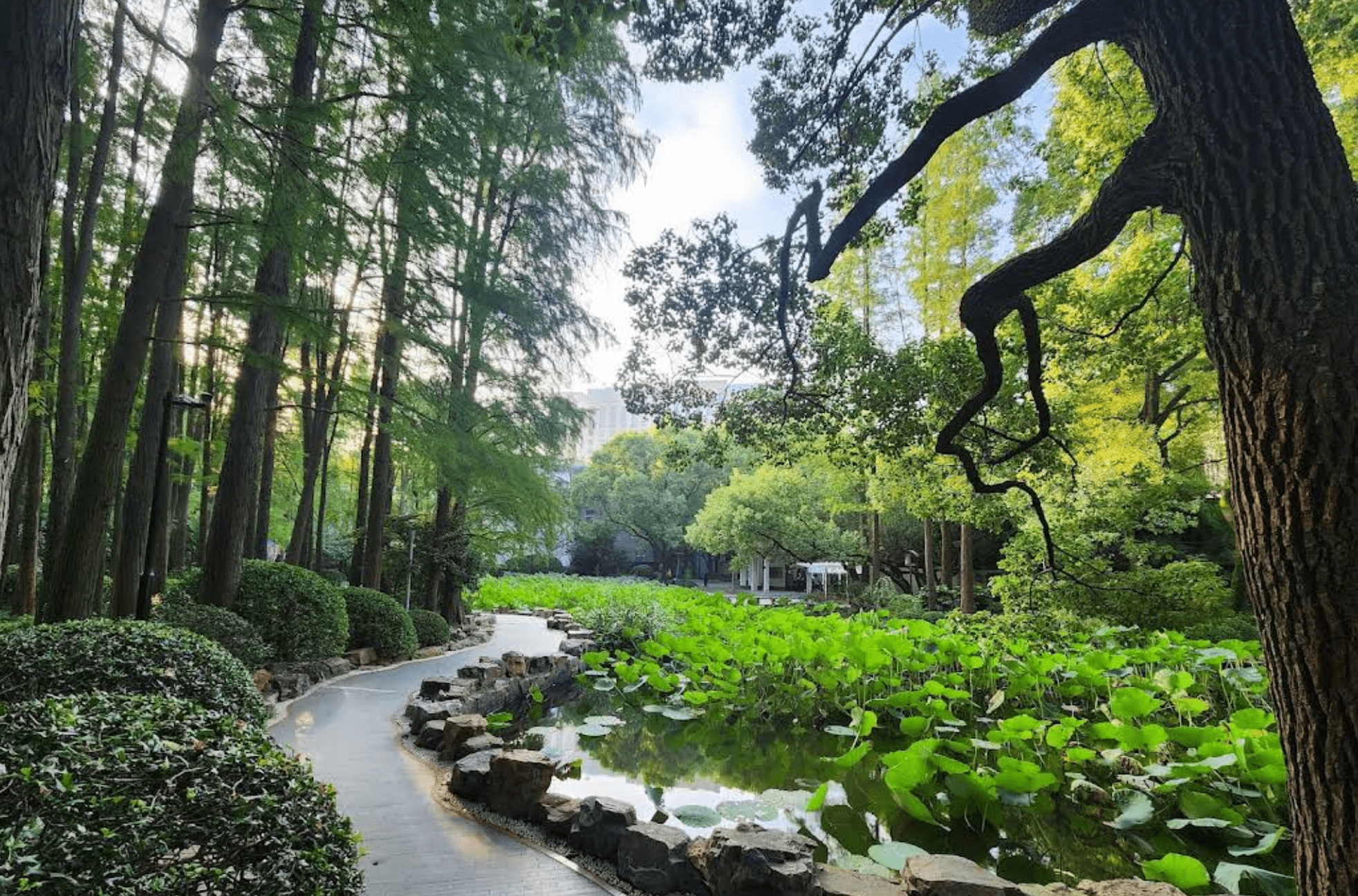 Shanghai Itinerary - scenic view at People's Park