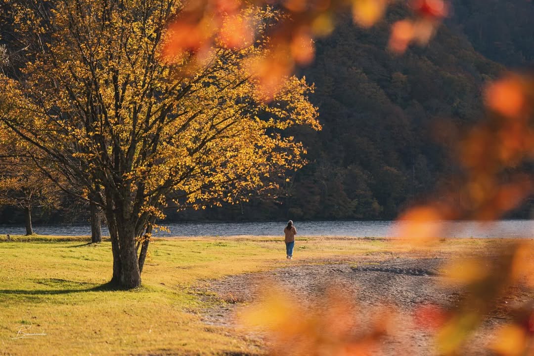 autumn leaves in japan - aomori
