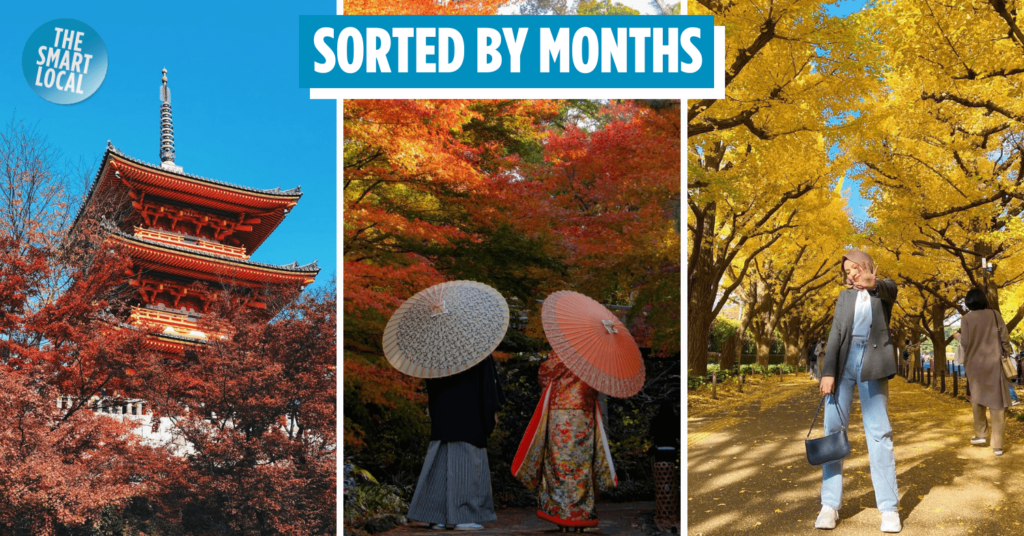 autumn leaves in japan - cover