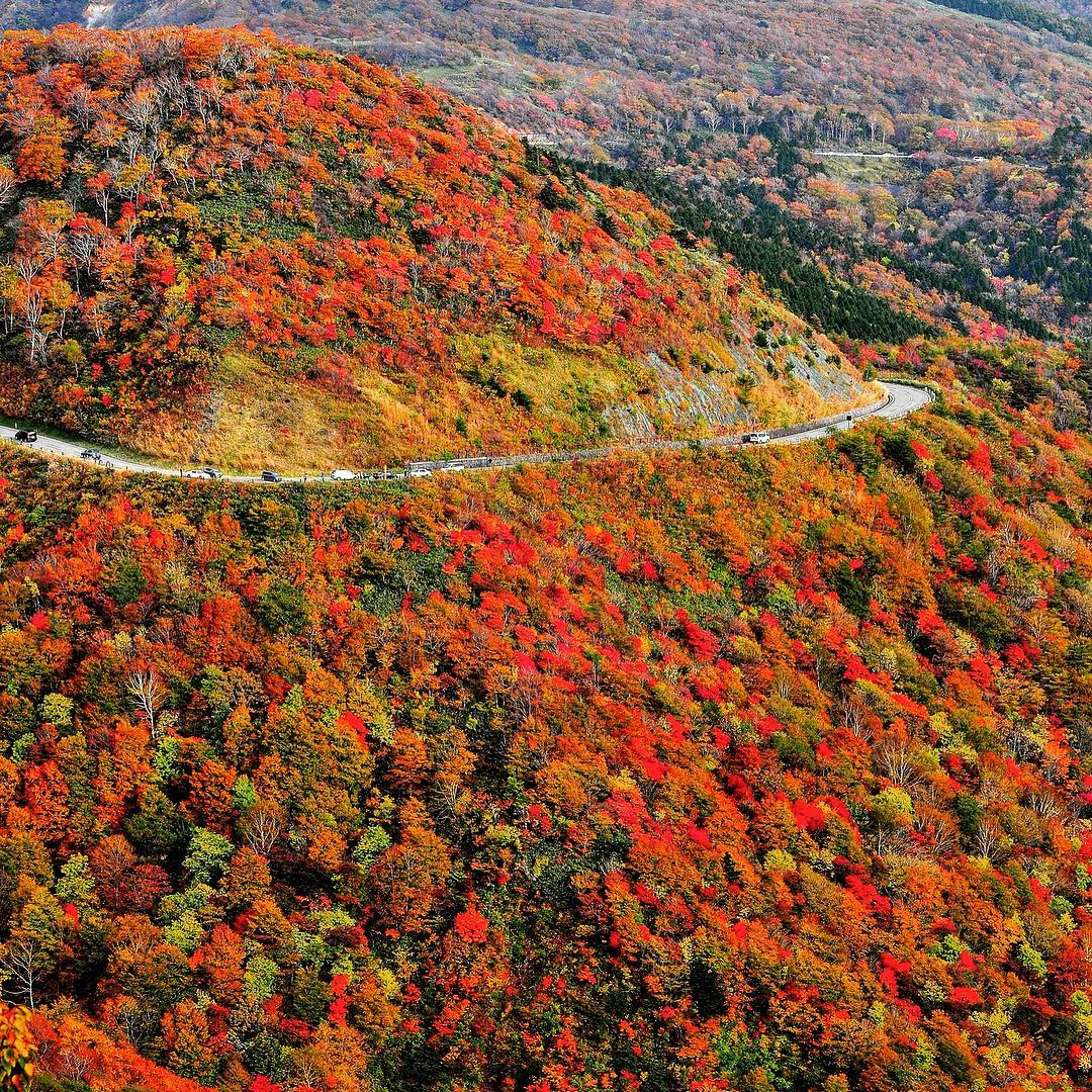 autumn leaves in japan - fukushima