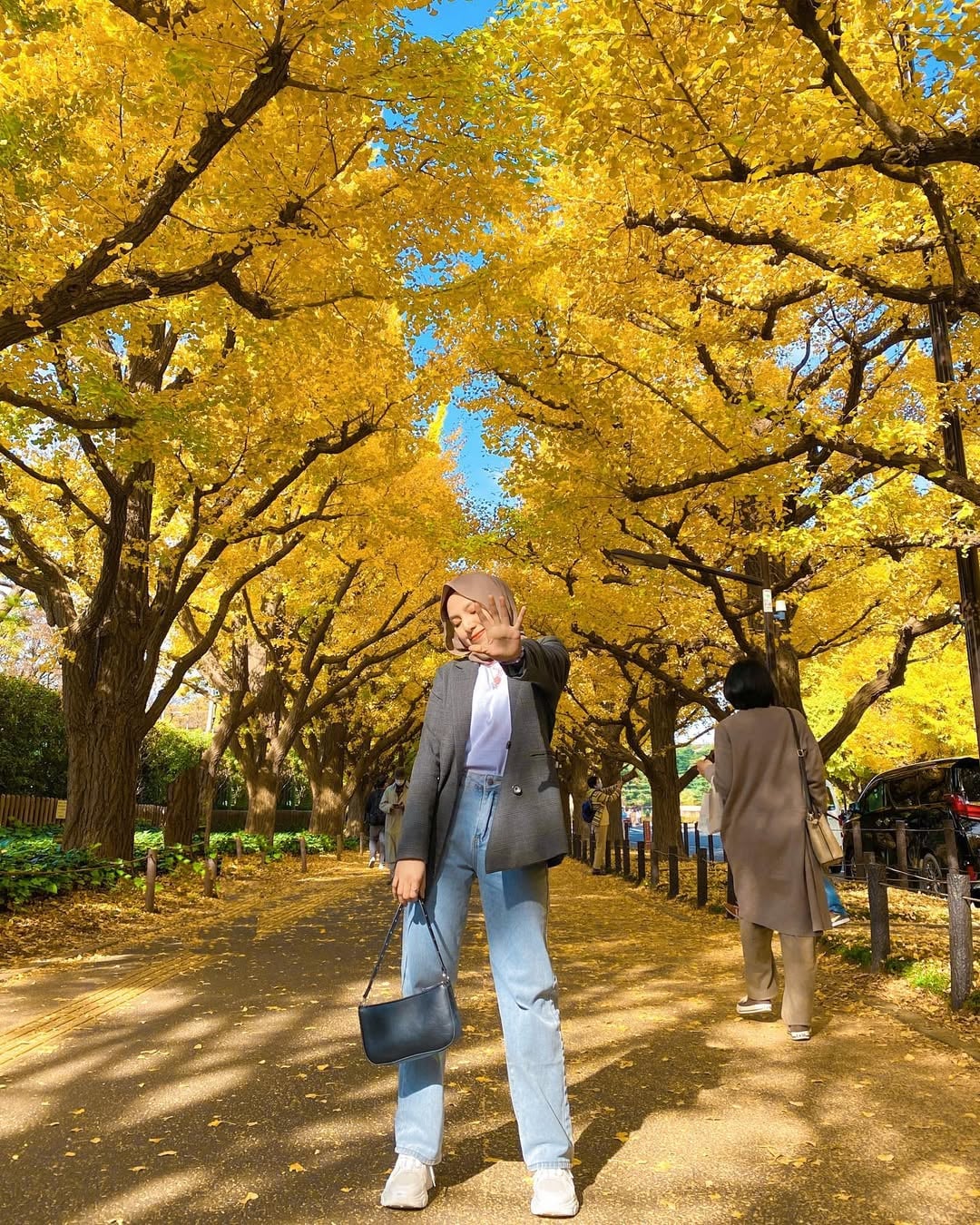 autumn leaves in japan - tokyo