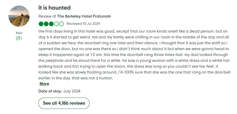 Tripadvisor user recount 