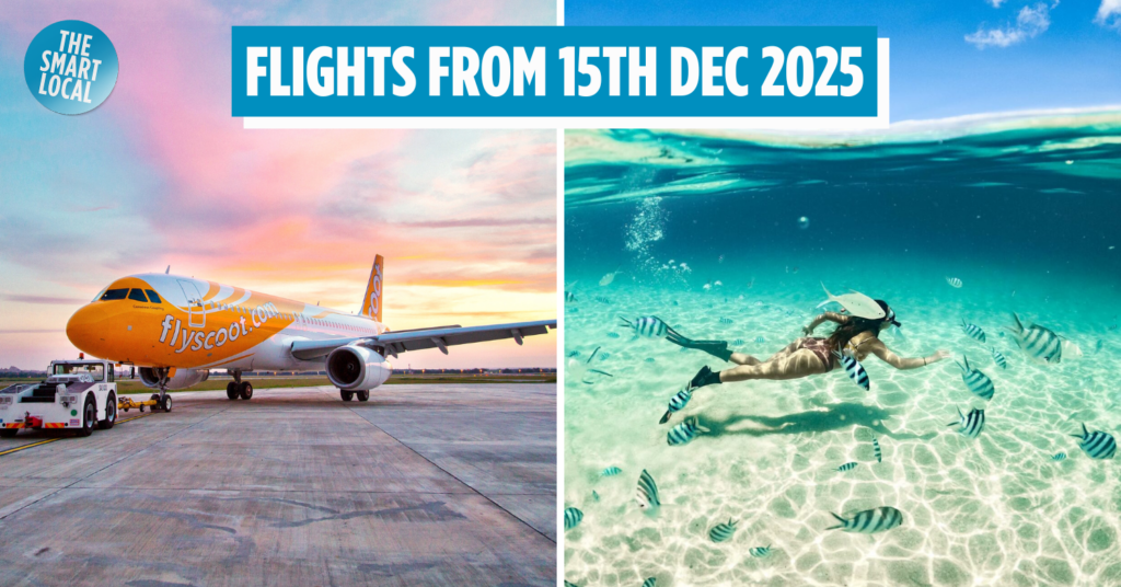 Scoot new flights cover image