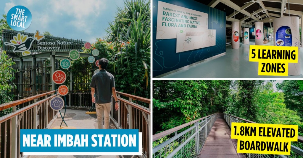 Sentosa Nature Discovery: Free Learning Attraction With Walking Trails & A WW2 Bunker Replica