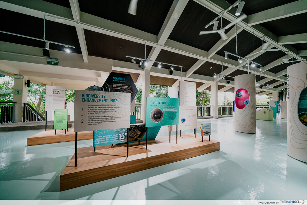 sentosa nature discovery - conservation corner