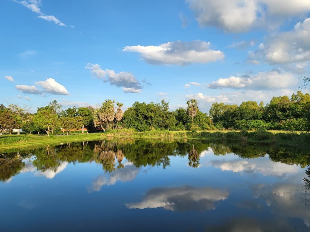 thailand remote work