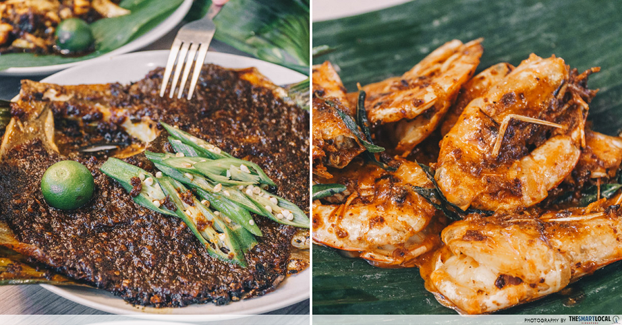 Pari stingray & udang