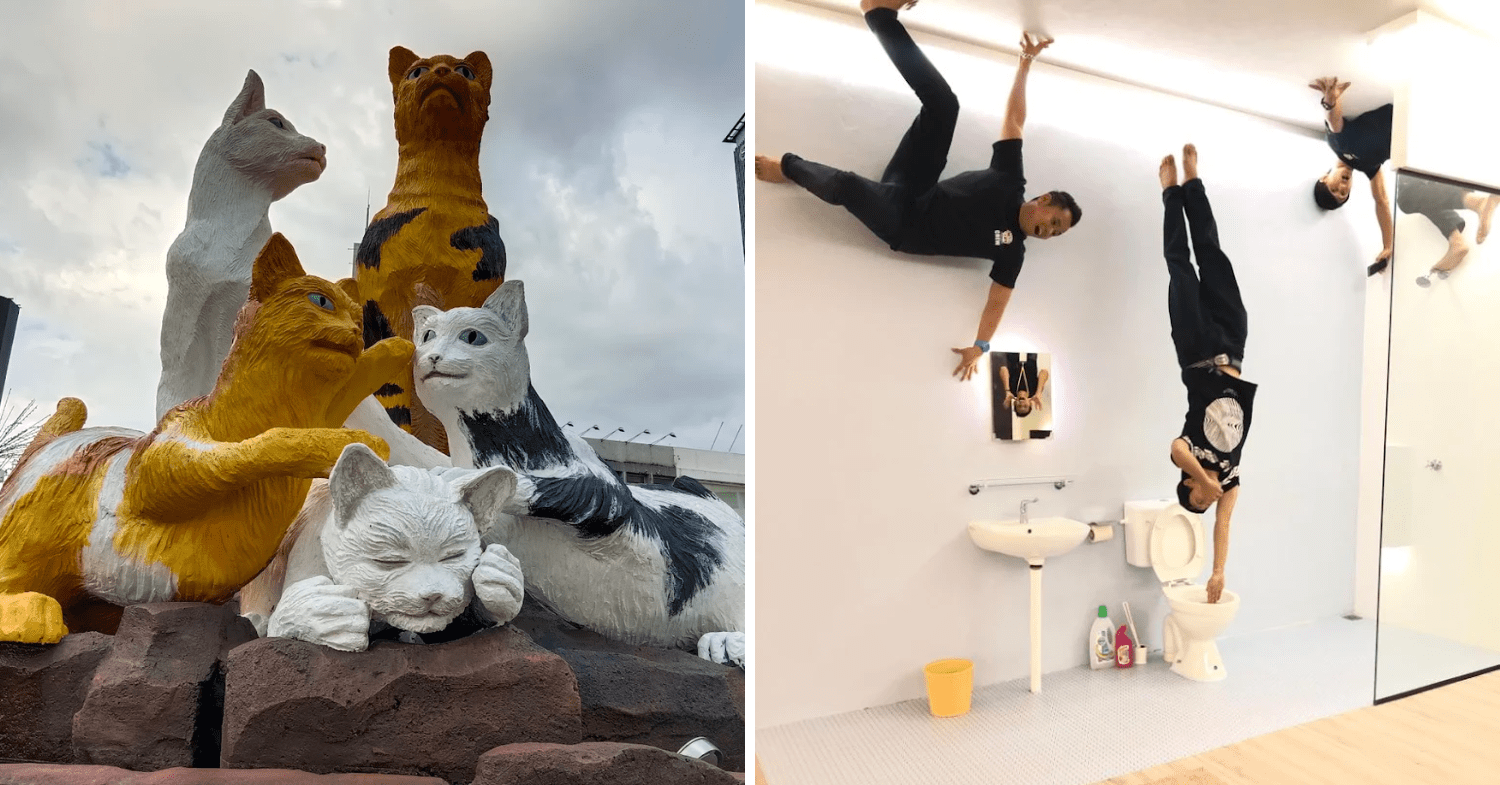 Best Kuching Hotels Malaysia - Cat Statue and Upside Down House