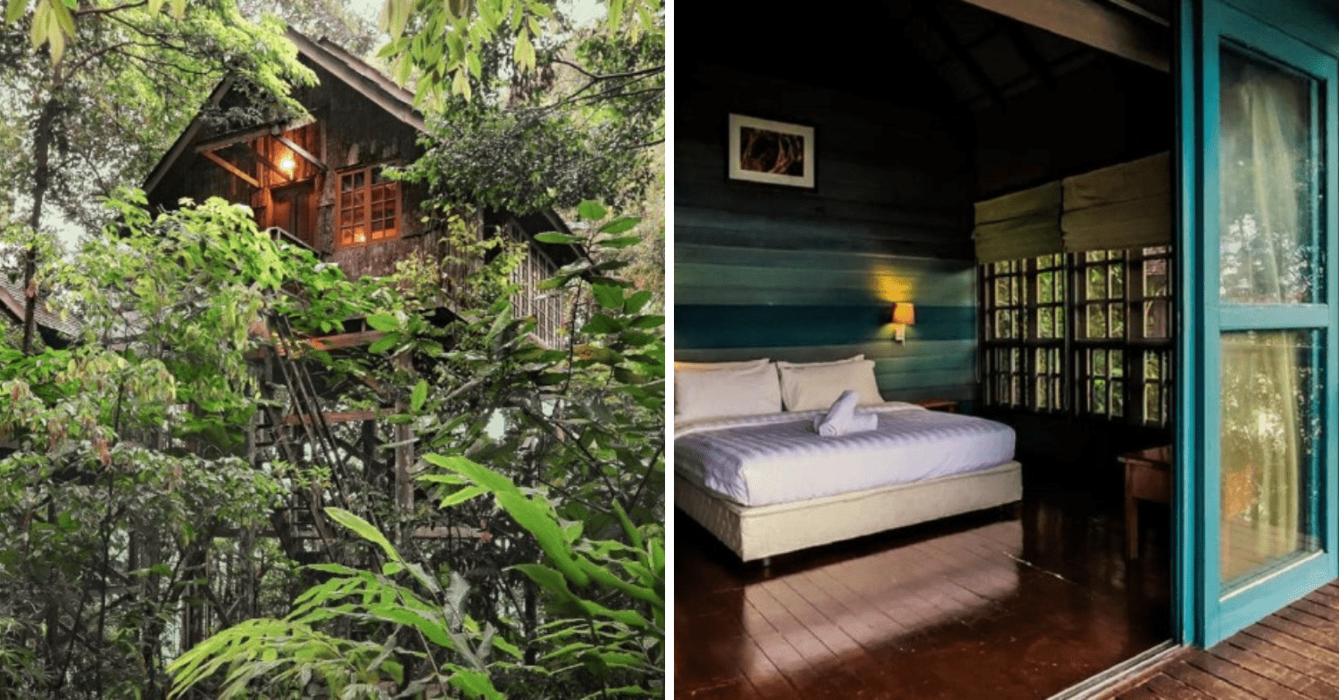 Permai Rainforest Resort