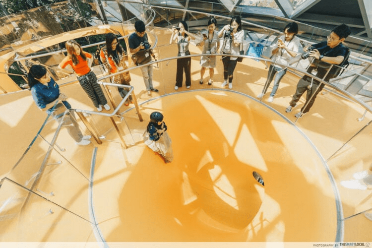 Canopy Park - near-vertical slide