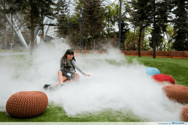 Canopy Park - Foggy Bowls