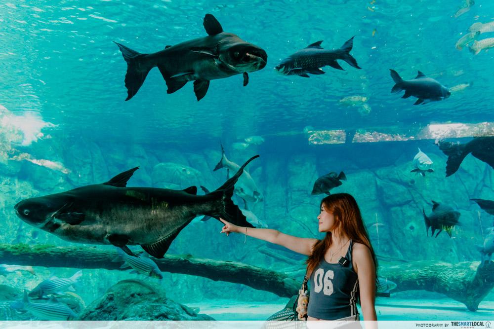 Colugo Camp - river wonders