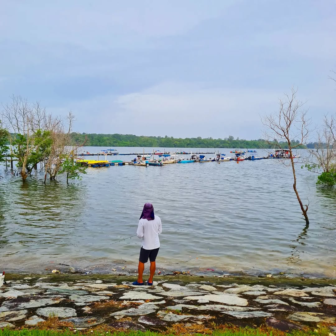 Jenal Jetty - What is Happening