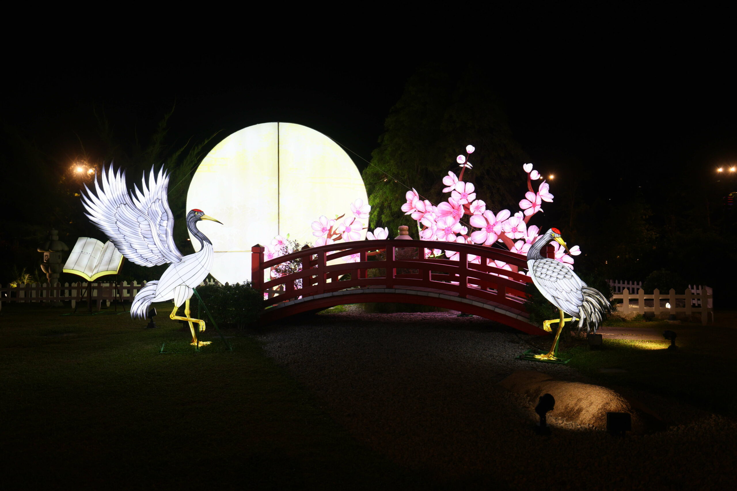 Lights by the Lake 2025 - Blossoms Beneath the Moon