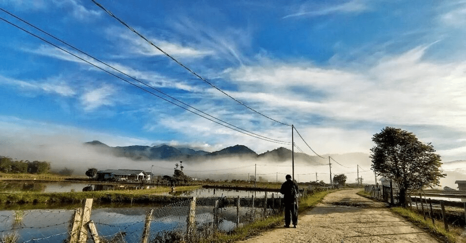 Miri Sarawak - Bario Highlands