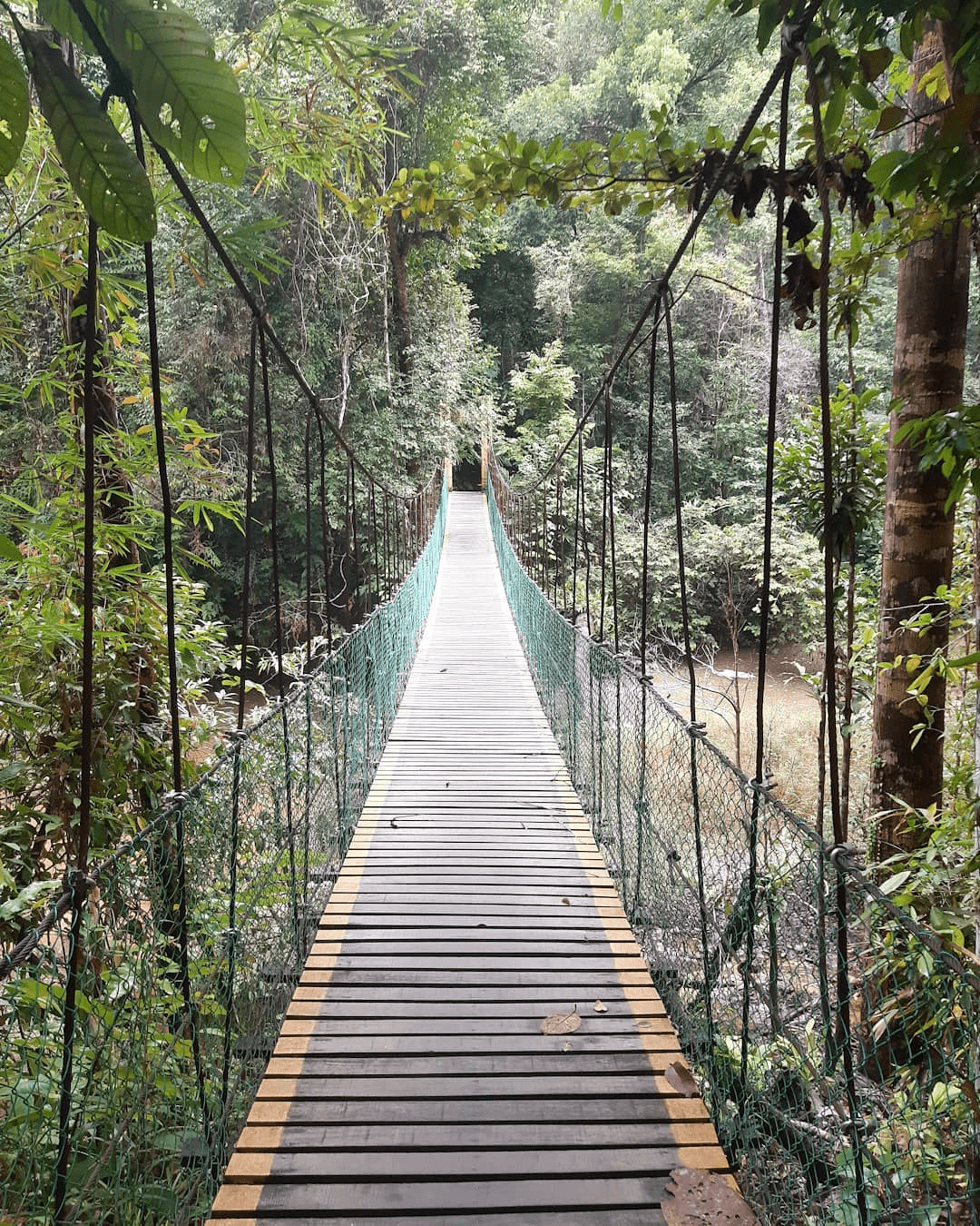 Lambir Hills National Park