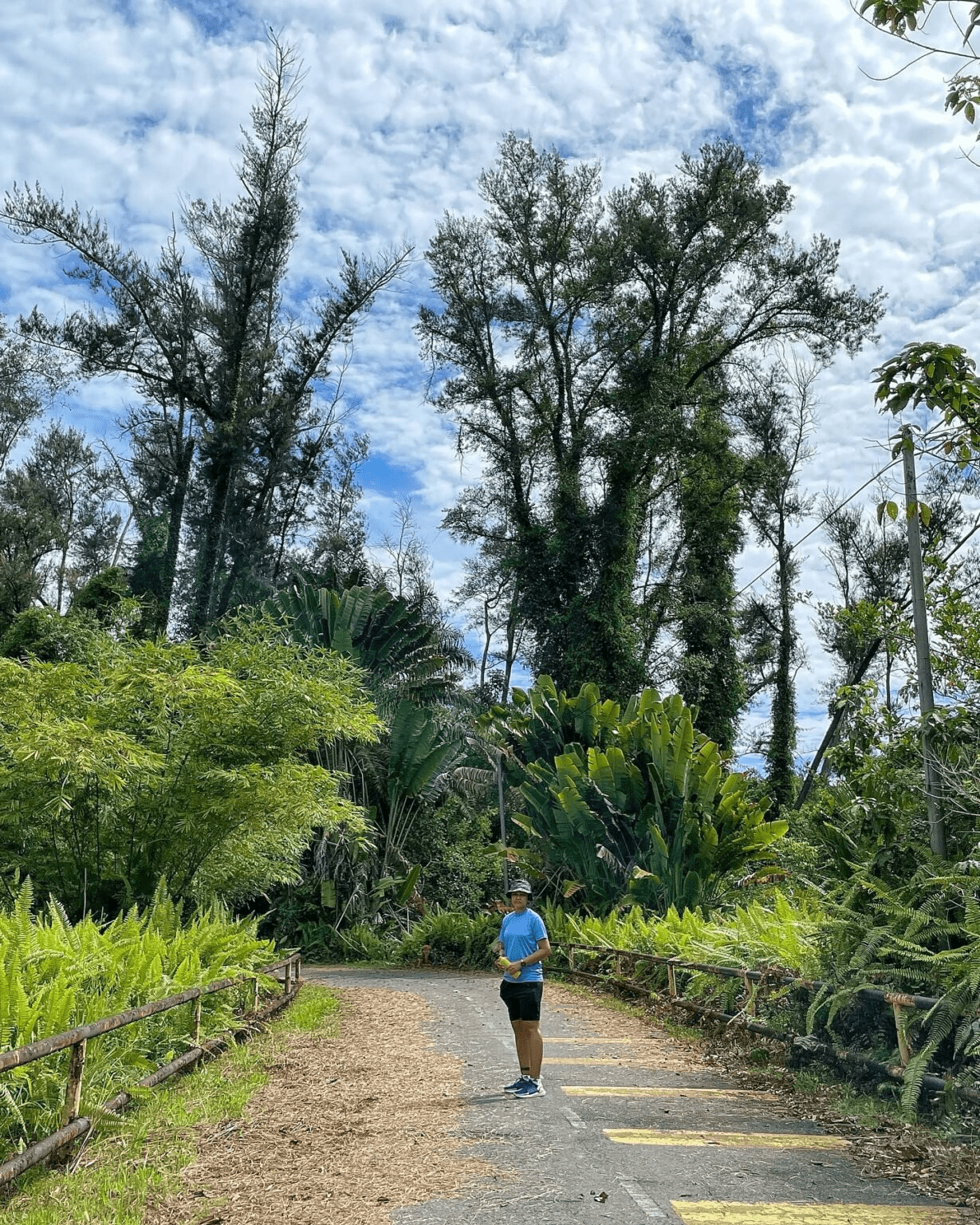 Pisau Nature Reserve Trail