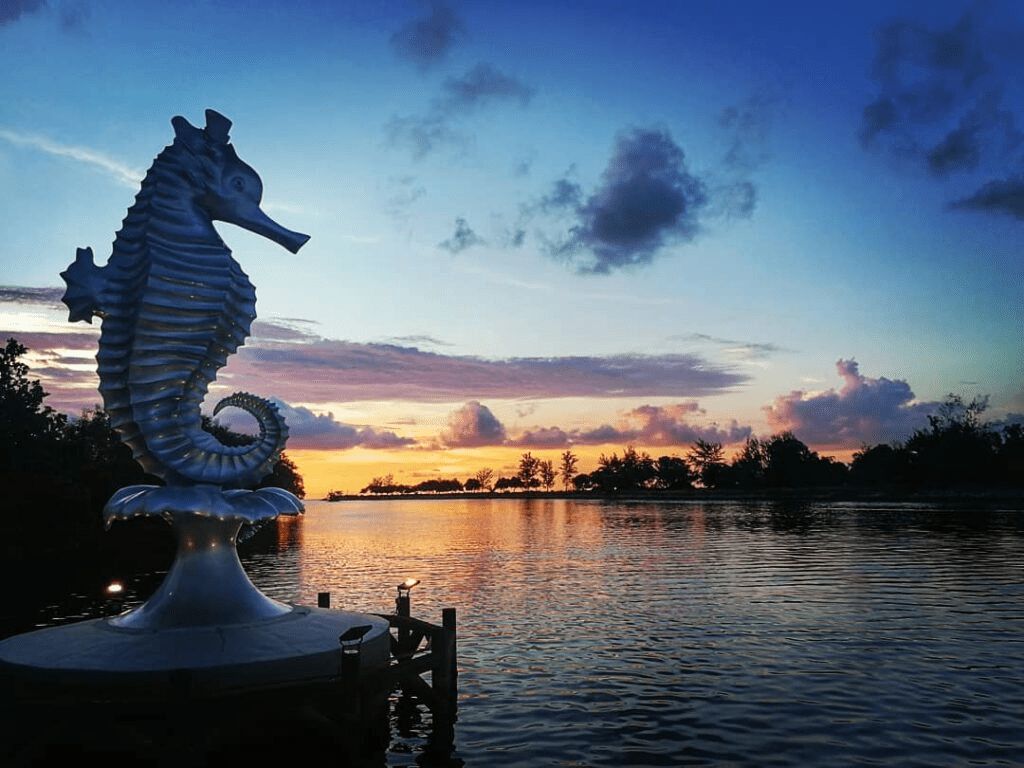 Miri Sarawak - Seahorse Statue