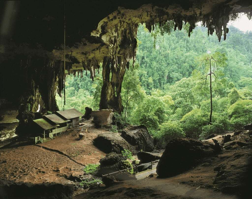 Miri Sarawak - The Great Cave